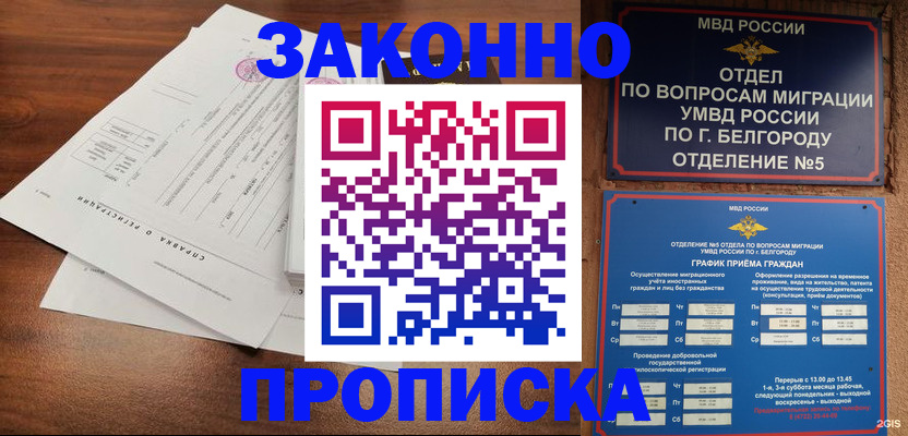 прописка в Сураже